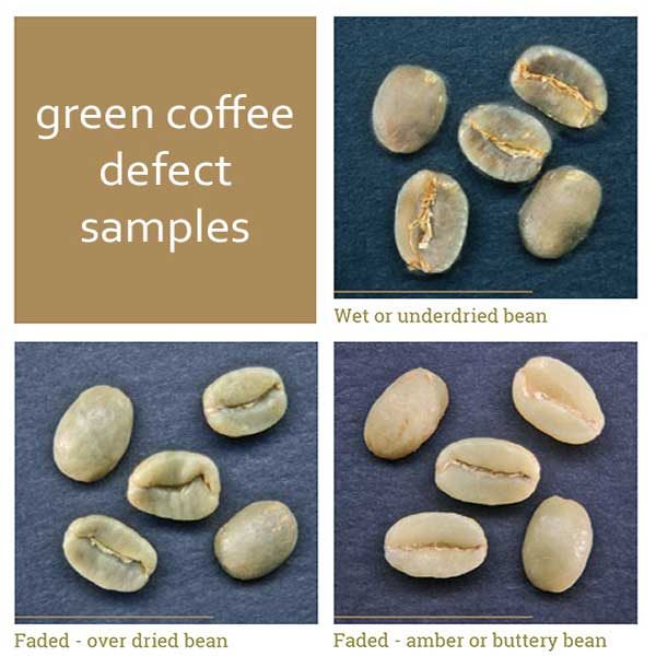 The importance of Removing The Defect Beans Before Coffee Roasting