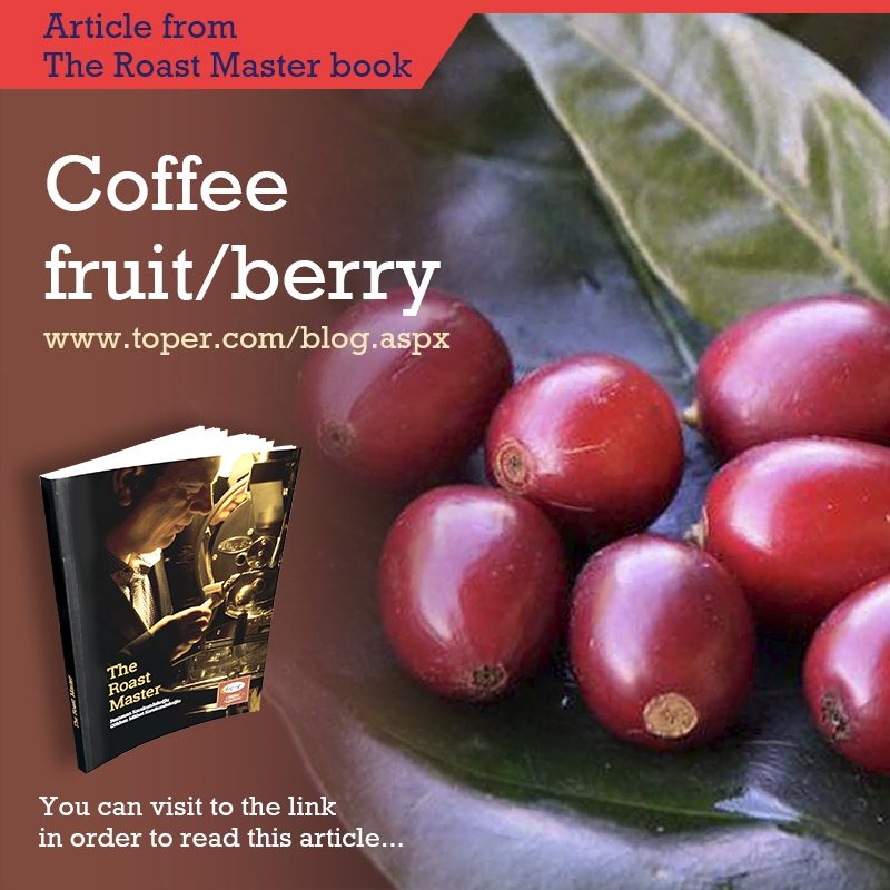 Coffee Fruit / Berry Toper Roasters