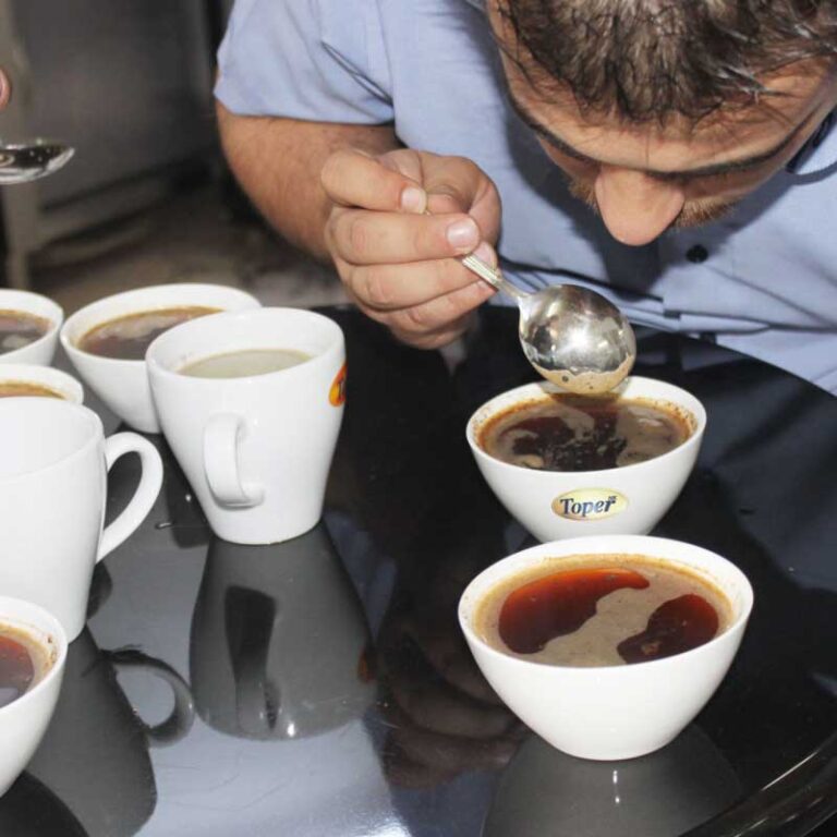 методы дегустации toper coffee academy